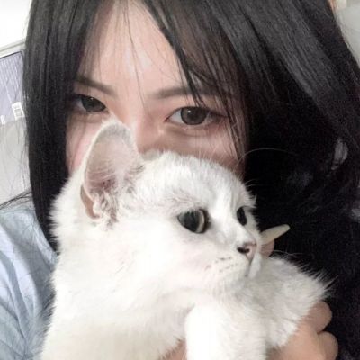 完美无限世界官方版下载