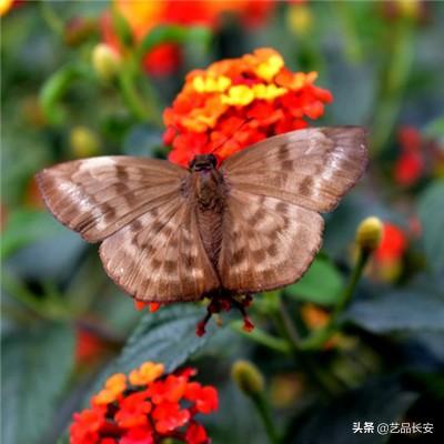 寻秦记九游版官方下载
